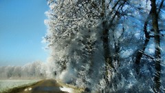 Winter bavaria roads