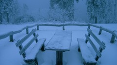 Winter bench TV shows