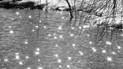 Winter black and white