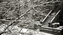 Winter black black and white monochrome York