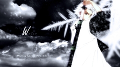 Winter bleach frost hitsugaya