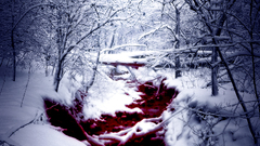 Winter blood rivers
