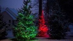 Winter blue red Green lights Christmas