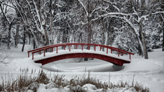 Winter Bridges