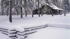 Winter brown Parks cabin
