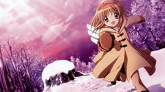 Winter brunettes kanon knee socks