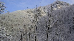 Winter Bulgaria Rhodope Mountains