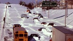 Winter cars bus cities