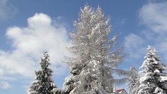 Winter cities Brasov