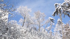Winter cities Brasov