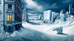 Winter cities Polar Bears