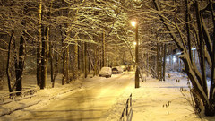 Winter dark hell there The why?