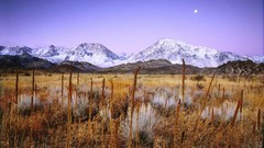 Winter dawn California Bishop