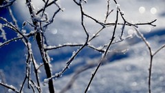 Winter depth of field