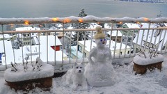 Winter Dogs Snowmen