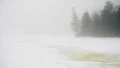 Winter fog
