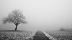 Winter fog roads monochrome