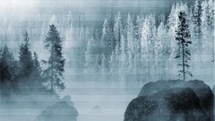 Winter forest scenes nature