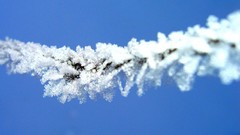 Winter frost