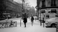 Winter grayscale monochrome