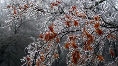 Winter HDR Photography