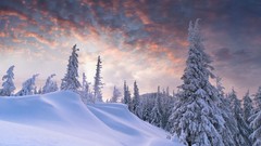 Winter hills skies forests