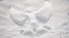 Winter Holidays happy