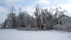 Winter icestorm