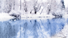 Winter Lake Frozen nature