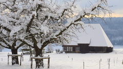 Winter Landscapes nature House