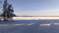 Winter Landscapes road Trees