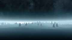 Winter night cold horizon pine trees