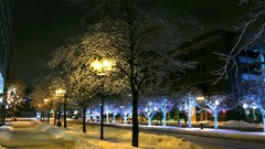 Winter night new year Christmas