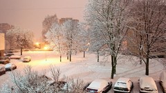 Winter night new year Christmas