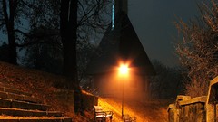 Winter night Parks romania walk cities