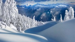 Winter pathway peaks