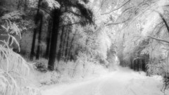 Winter photography beautiful amazing