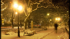 Winter photos high Resolution