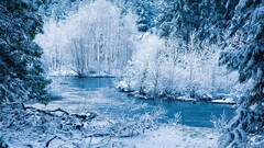 winter river landscape nature cyan
