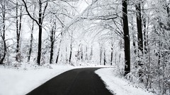 Winter road winterdienst