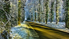 Winter roads Journey golden