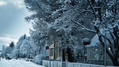 Winter roads snow-white