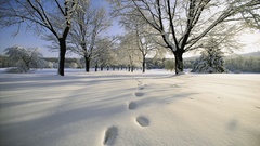 Winter scenes snow traces