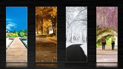 Winter seasons summer autumn sping