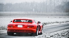 Winter snakes dodge viper