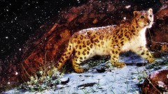 Winter snow Animals snow