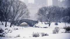 Winter snow Bridges Parks