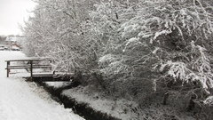 Winter snow Bridges streams