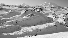 Winter snow Dogs outdoors