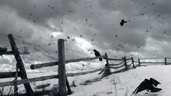 Winter snow fences Birds